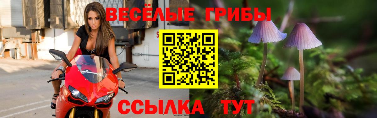 Галлюциногенные грибы GOLDEN TEACHER Донецк