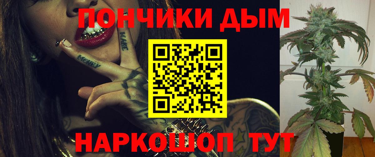 Шишки марихуана план  Марихуана индика  Вход с VPN  Марихуана White Widow  Донецк 